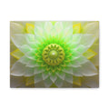 Green Lotus Mandala Canvas Wall Art — Stretched Matte Floral Decor